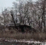 Освобождена от ВСУ Новоивановка в Курской области: сводка Минобороны РФ на 12 декабря - Друг для Друга