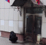 Пожилая курянка по указанию мошенников пыталась поджечь МФЦ - Городские Известия