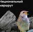 Поддержим маршрут - Газета Обоянская газета