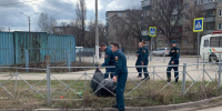 Информацию о субботниках жители Курска могут узнать в администрациях округов - Городские Известия