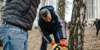 Александр Хинштейн раскритиковал ситуацию с вывозом мусора после субботника - РИА Курск