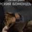 Курские подростки глумились над бомжом и снимали издевательства на видео - Курские Известия