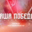 К 80-летию Великой Победы пройдет онлайн-игра «Наша Победа» - Администрация области