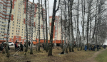 В Курске с 18 по 27 апреля пройдет неделя субботников «Мы за чистоту»