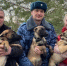Трёх четвероногих питомцев породы немецкая овчарка передали в УФСИН России по Курской области. - УФСИН