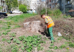 Курская комиссия по мониторингу состояния объектов осуществило проверку  более 80 дворов
