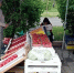 В Курске за незаконную торговлю на улице составлено 11 протоколов - Городские Известия