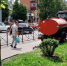 В Курске активно поливают высаженные молодые деревца - Курские Известия