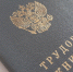 В Курской области 27 июня пройдет Всероссийская ярмарка трудоустройства - РИА Курск