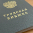 Курянам предложили более пяти тысяч вакансий на Всероссийской ярмарке трудоустройства - KurskTV.Ru