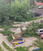 В Курске из-за стихии нарушено электроснабжение, деревья обрывают провода и падают на машины