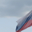 Курян приглашают принять участие в онлайн-флешмобе «Цвета российского флага» - Курские Известия