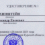Хинштейн получил удостоверение кандидата на выборах губернатора Курской области - Курские Известия