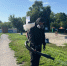 Восемь пляжей Курска обработают от клещей - Городские Известия
