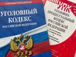 Дело об обмане волонтеров дошло до суда