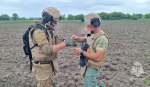 В Курской области за год обезврежено более 13 тысяч взрывоопасных предметов