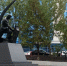 В сквере «Спутник» в Курске высадили более 500 кустарников и 13 деревьев - Городские Известия