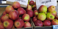 В Курске на пяти площадках пройдёт ярмарка «Осень» - Курские Известия