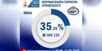 Явка на досрочном голосовании в Курской области составила 35,39% - Курские Известия