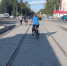 В Курске на Комарова установили остановку из ДСП - 46tv.Ru