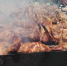 Россияне стали покупать меньше мяса для шашлыка - Курские Известия