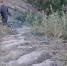 На Звездной дорогу к школе через овраг строить не будут - Sekunda.Media
