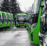 Курская область получит 12 новых автобусов до конца года - РИА Курск