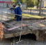 В Курской области улучшилось качество коммунальных услуг — считает Хинштейн - Курские Известия