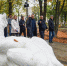 В Парке Пионеров сломали кормушки и выкопали цветы - Vkurske.Com