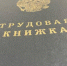 В Курской области выросло число подработок с доходом до 100 тысяч рублей - KurskTV.Ru