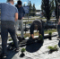 В Курской области на субботники вышли более полутора тысяч человек - Курские Известия