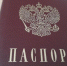 В Абхазию и Белоруссию детей младше 14 лет будут пускать только по загранпаспорту - Курские Известия