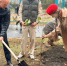 В Курске школьники заложили «Гагаринский сад» - Курские Известия