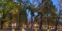 В курском Парке пионеров установят камеры наблюдения уже на этой неделе - Курские Известия
