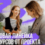 Новая линейка курсов от всероссийского проекта «Профразвитие» - Министерство внутренней и молодежной политики