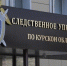 В Курске после падения ребенка с эскалатора возбудили уголовное дело - Друг для Друга