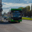 За неделю выявлено 422 нарушения в работе общественного транспорта Курска - Городские Известия