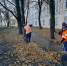 В Курске порядок на улицах и дорогах наводят 110 человек - Городские Известия