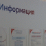 В региональном отделении Соцфонда РФ рассказали о графике выплат пособий и пенсий в ноябре - Администрация области