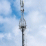 В Курской области назвали лидеров голосования за подключение к 4G интернету - РИА Курск