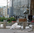 Сроки ремонта Центральной аллеи в Курске перенесли до 15 декабря: готово до 85% работ - KurskTV.Ru