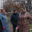 В Курске до конца месяца уберут упавшее дерево у школы №38 на улице Островского - KurskTV.Ru