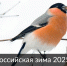 «Российская зима 2025-2026» - Заповедник им. профессора В.В. Алехина