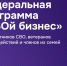 Единая Россия начинает в Курске проект «СВОй бизнес» 24 ноября - Единая Россия