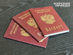 В Курске задержали иностранца, который три года жил в России без документов