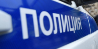 В Курске полицейские задержали иностранца, пытавшегося спрятаться на дереве - РИА Курск