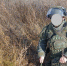 Добровольческой бригадой «БАРС-Курск» продолжается работа по разминированию Курской области. - Город Курск