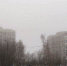 В Курске 30 ноября прогнозируют туман и +2 градуса - Городские Известия