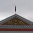 Власти Курской области продолжают очищать госслужбу от чиновников с судимостью - KurskTV.Ru