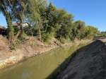 В Курске разработают программу водно-зелёного каркаса города